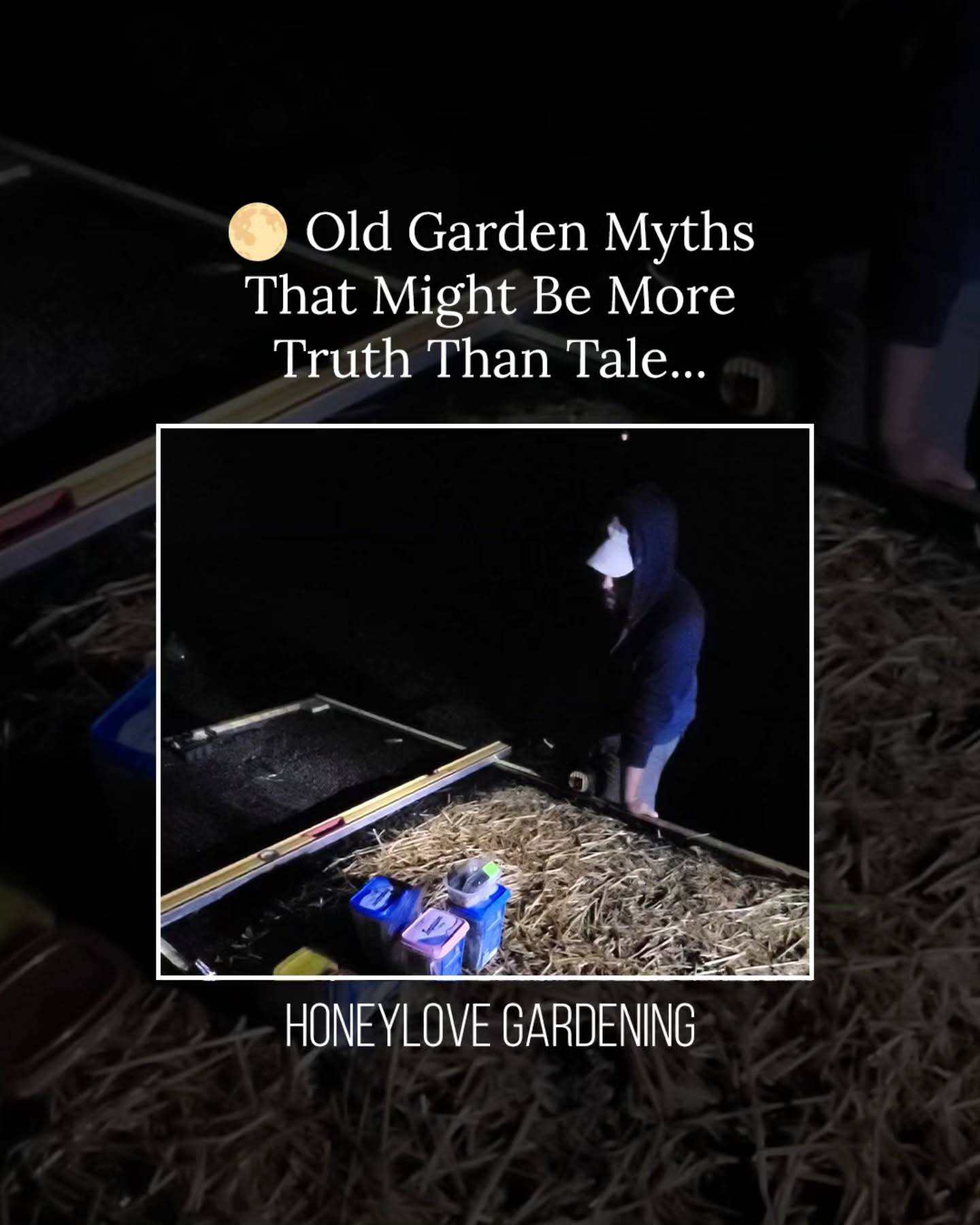 Here's our secret 🙊 

We plant garlic under the full moon 🌝