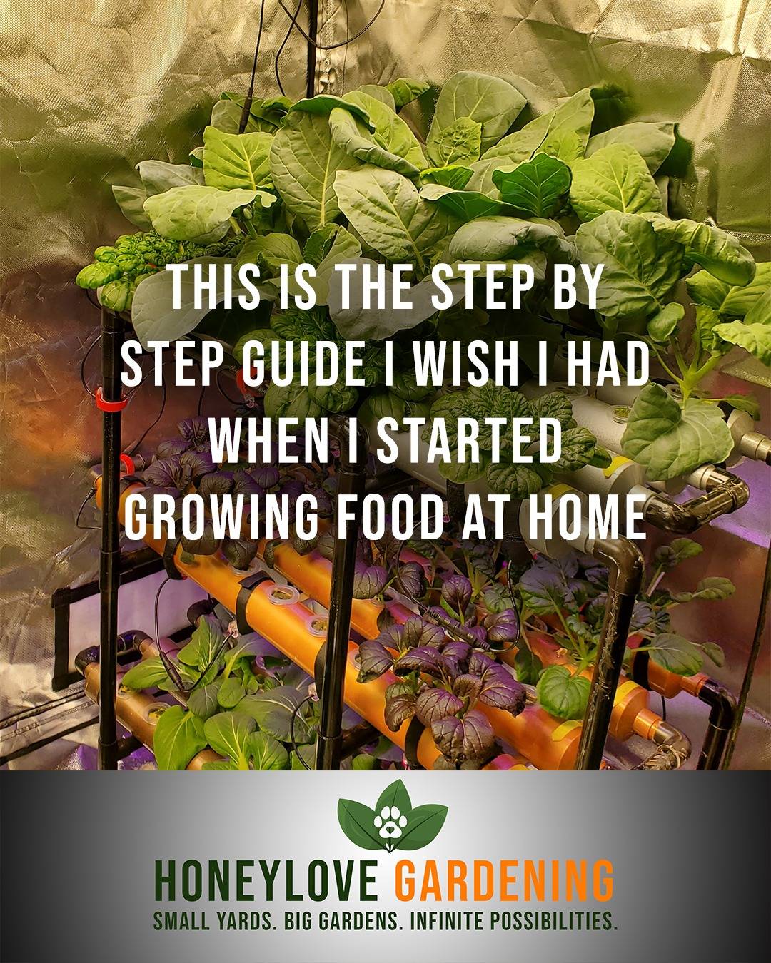 🏡 I started growing food with a 4x4 block of dirt in the back yard and pretty close to zero knowledge about gardening.

Now, I grow enough produce to feed my family year round with less than 5 months of "gardening weather".

I put a whole lot of what I learned as a beginner gardener into a 25-page guide.

🥕 Comment or DM "Guide" and I'll share the link to it!

#GardeningForBeginners #GrowYourOwnFood #StartYourGarden #GardeningMadeEasy
#SelfSufficiency #Homegrown #SustainableLiving #FoodSecurity #GrowWhatYouEat
#GardenWithMe #HomesteadLiving #OrganicGardening #urbanfarming