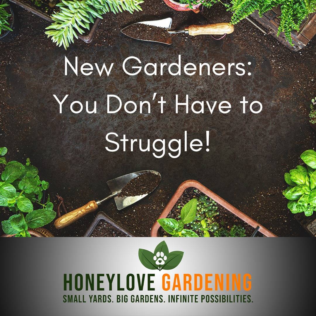 🌱 Free Personalized Planting Guide—Only a Few Available!

Ever dreamed of growing fresh, homegrown food—right from your backyard, balcony, or patio? But not sure where to start?

The biggest mistake new gardeners make? Planting at the wrong time or choosing crops that don’t fit their space. 🌿

That’s why I’m giving away FREE personalized planting guides to help small-space gardeners like YOU get set up for success!

Here’s what’s inside your custom guide:

✔️ Best time to start planting—calculated for YOUR zip code 🌍

✔️ Common pests in your area & simple, natural ways to prevent them 🐛

✔️ Watering & fertilization schedules to help your plants thrive 💧

✔️ Companion planting recommendations for healthier growth 🌻

✔️ Beginner-friendly, no-fuss advice tailored to your unique space 🏡

It’s 100% free—but I can only take a few requests at a time!

📩 DM or Comment "GROW" now to claim yours before spots fill up!

#SmallSpaceGardening #GrowYourOwnFood #GardeningForBeginners #OrganicGardening #StartGardeningNow #SustainableLiving #BackyardGardening #EdibleGarden #HealthyLiving #GardeningMadeEasy