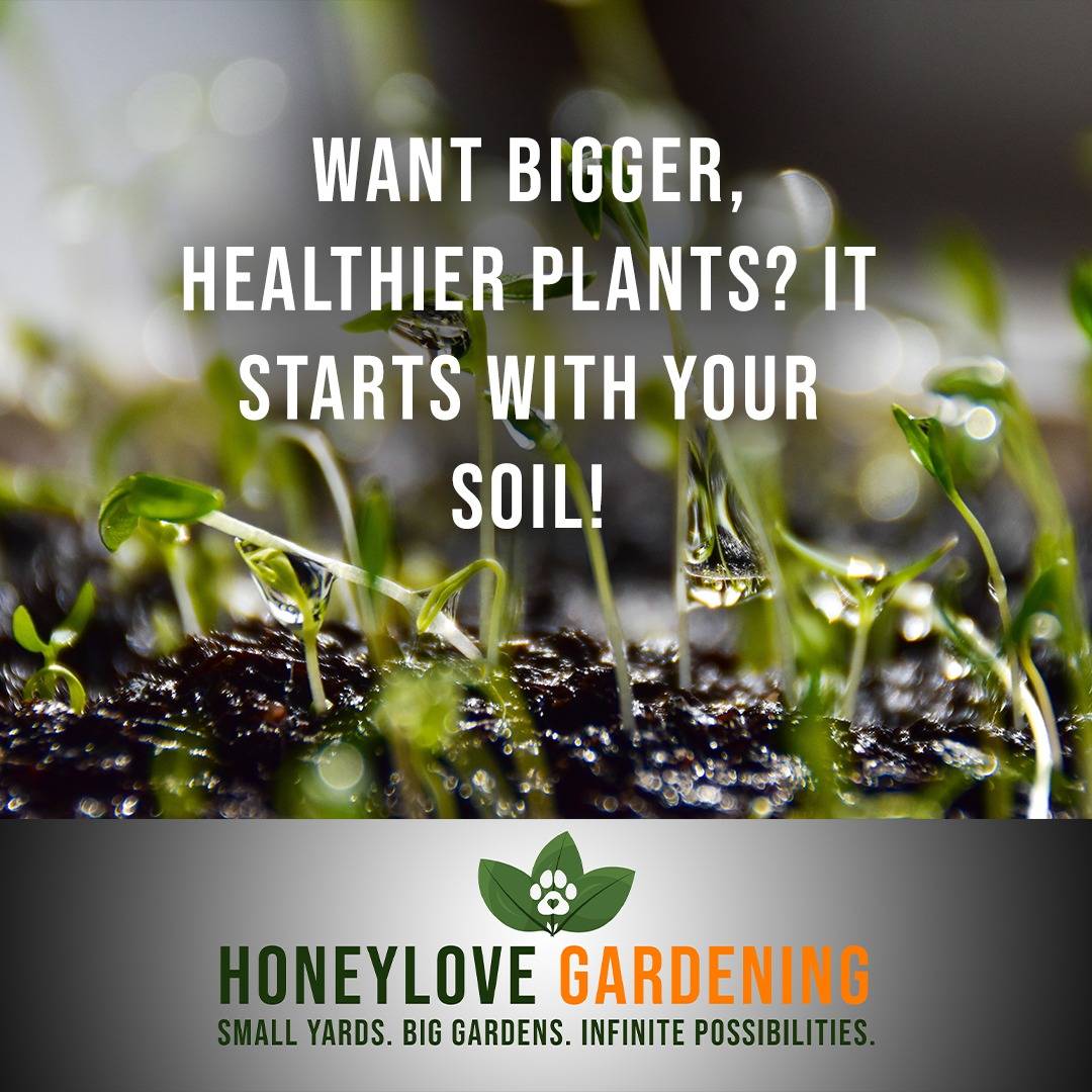 🌱 Want bigger, healthier plants? It starts with your SOIL! 🌱

Before you plant, do these 3 essential soil prep steps:

1️⃣ Test your soil (pH, drainage, texture).
2️⃣ Fix drainage issues so roots don’t rot.
3️⃣ Boost fertility with compost & organic matter.

Your plants will thank you later! 💚

Need a full soil prep checklist? Grab it in this Saturday's Newsletter:

https://designbuildgrow.honeylovegardening.com/

or click the link in my bio

#Gardening101 #SoilPreparation #HealthySoil #OrganicGardening #GardenTips