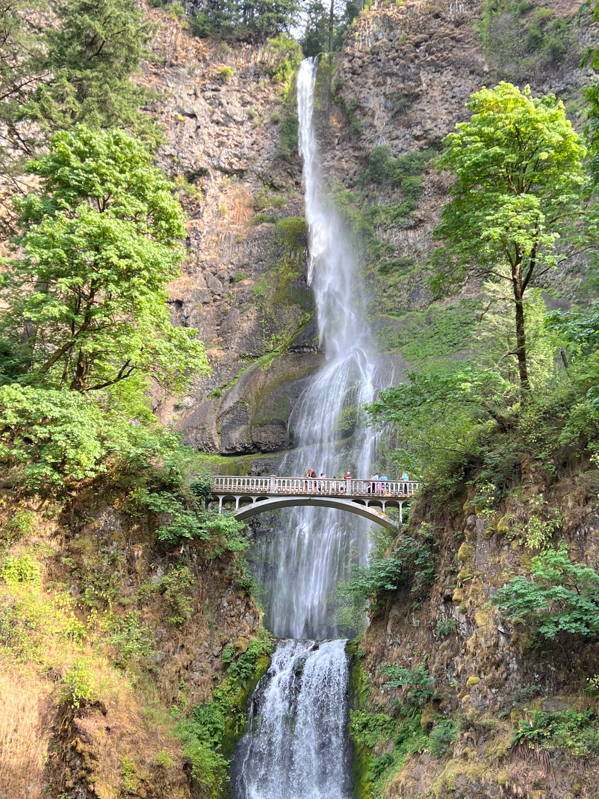 Multnomah falls in Oregon