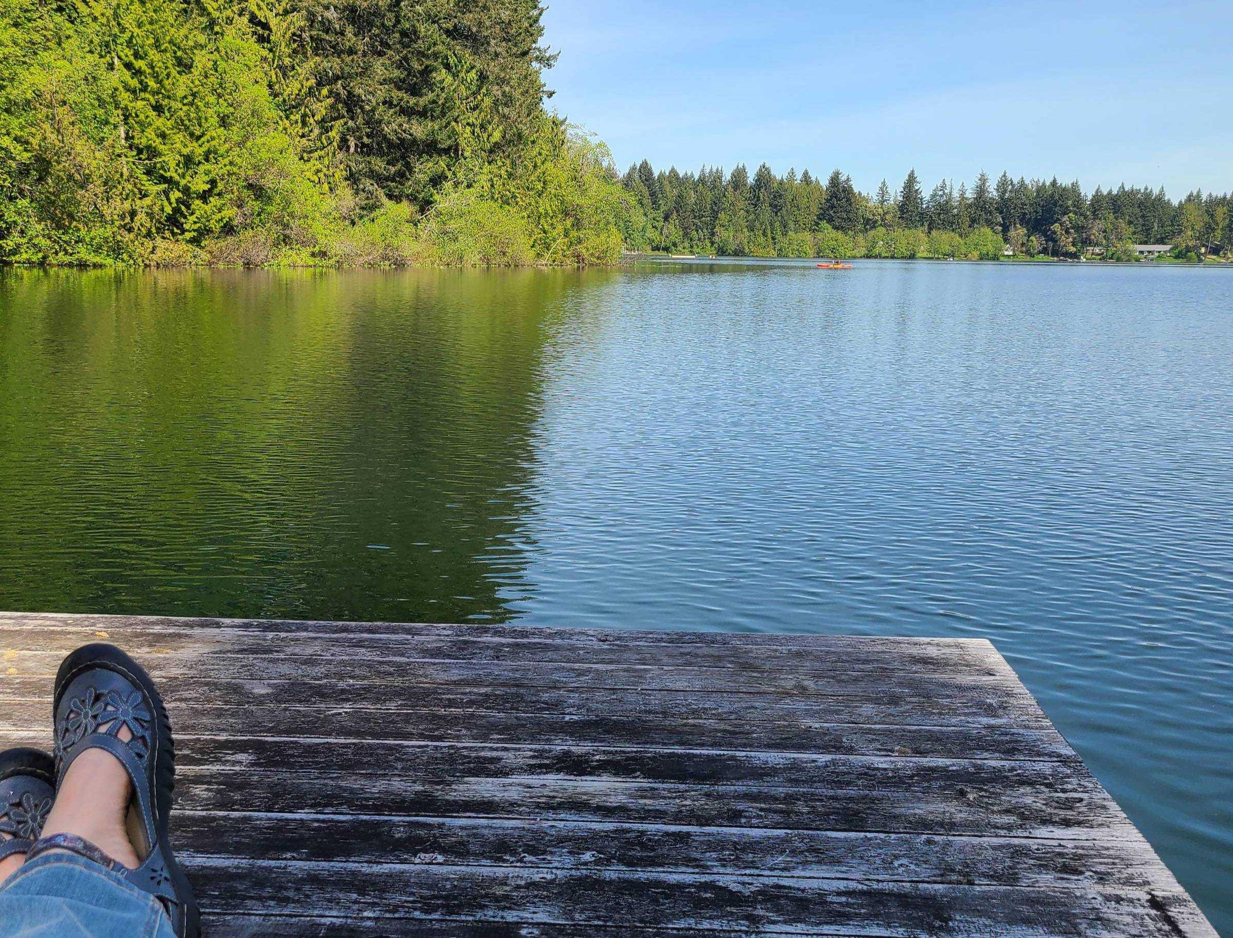 Lake view dock and green trees