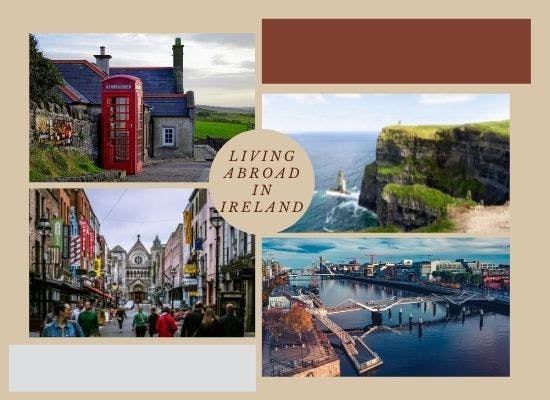 travel to southern ireland with a dog