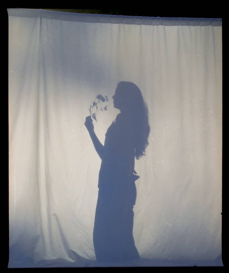 Silhouette of a woman smelling flowers against a curtain