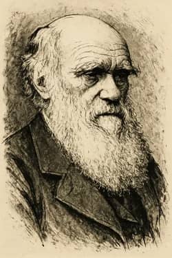 Portrait Charles Darwin