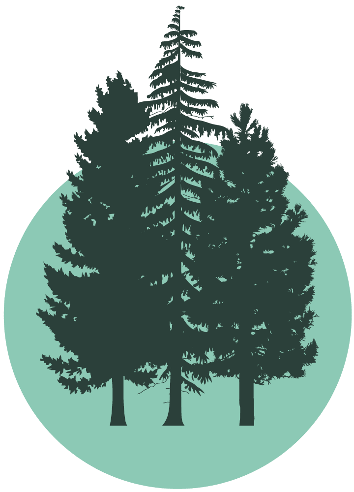 An icon featuring a light blue background with dark green pine trees on it.