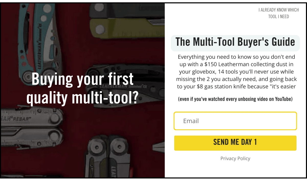 Education-focused popup: Buying your first quality multi-tool headline, Multi-Tool Buyer's Guide offer, email-only field, Send Me Day 1 button