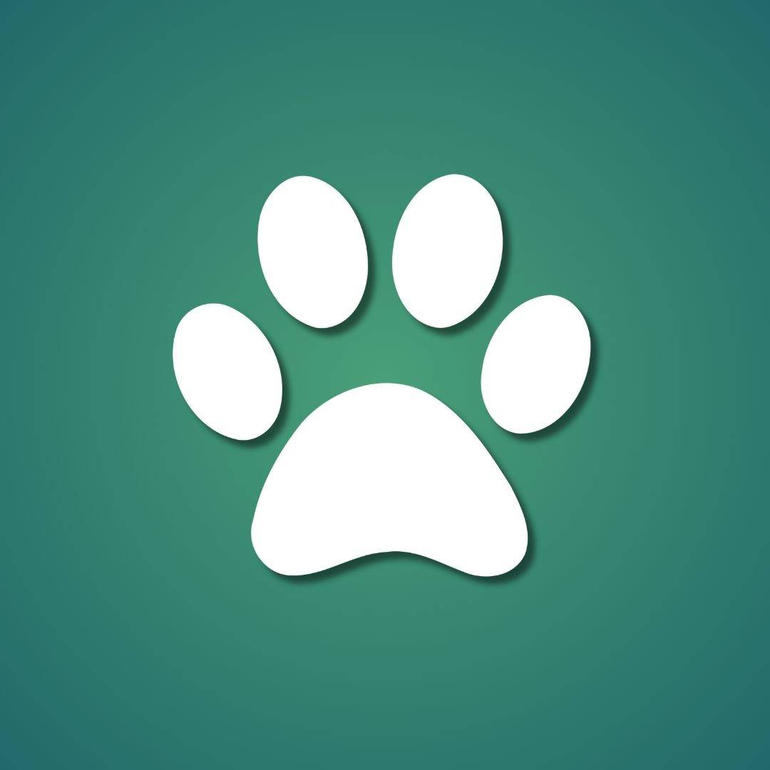 green gradient background with a white paw print icon in the center