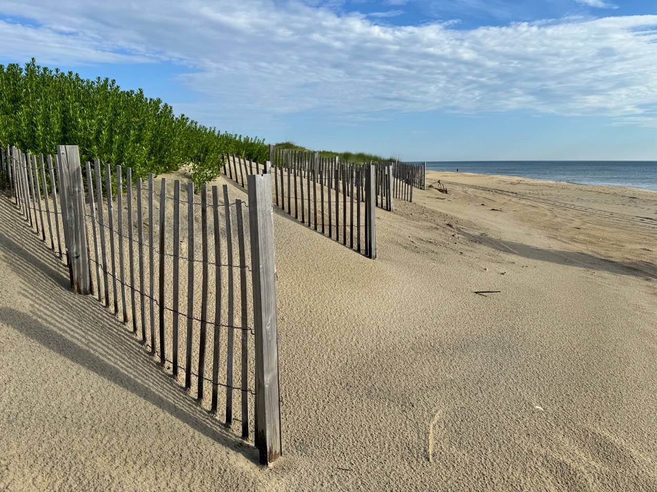 sandy beach with wooden posts along the dunes