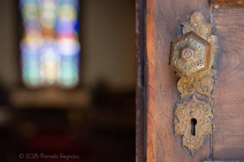 Faith on View Daily
