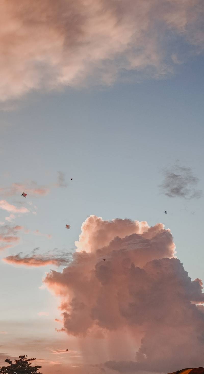 Pink clouds float in a pale blue sky.