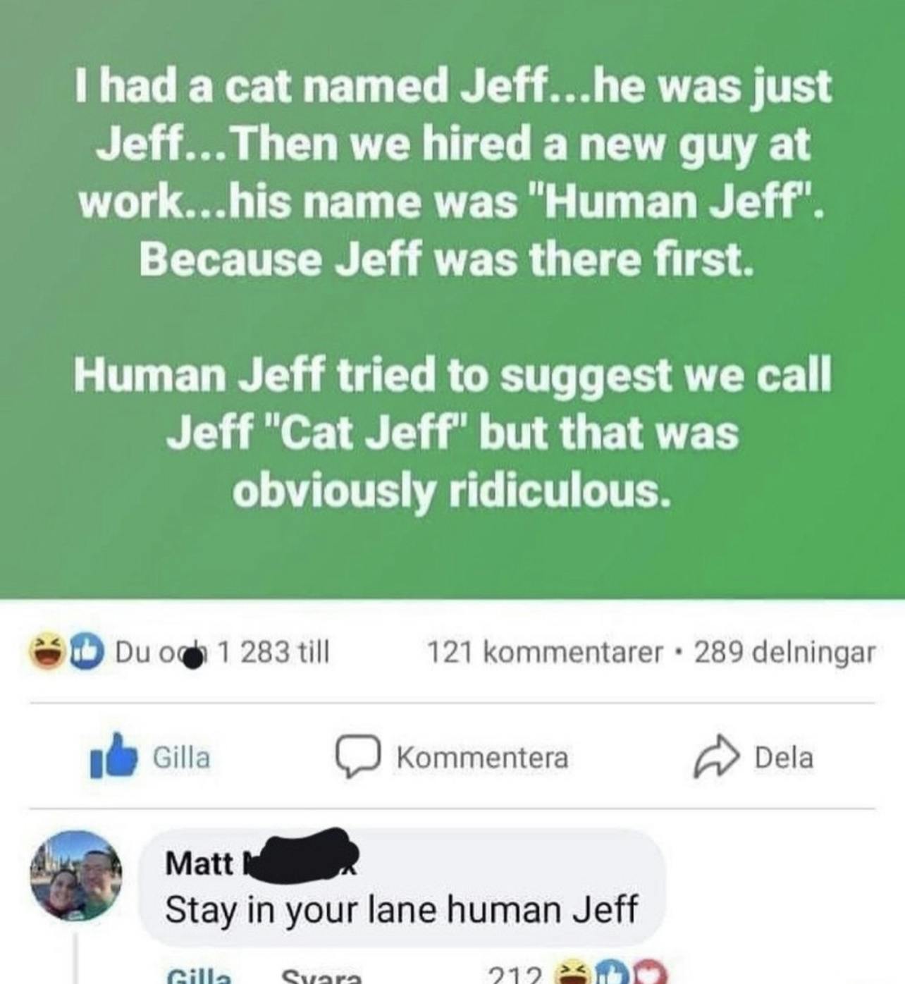 Meme of Cat Jeff vs Human Jeff