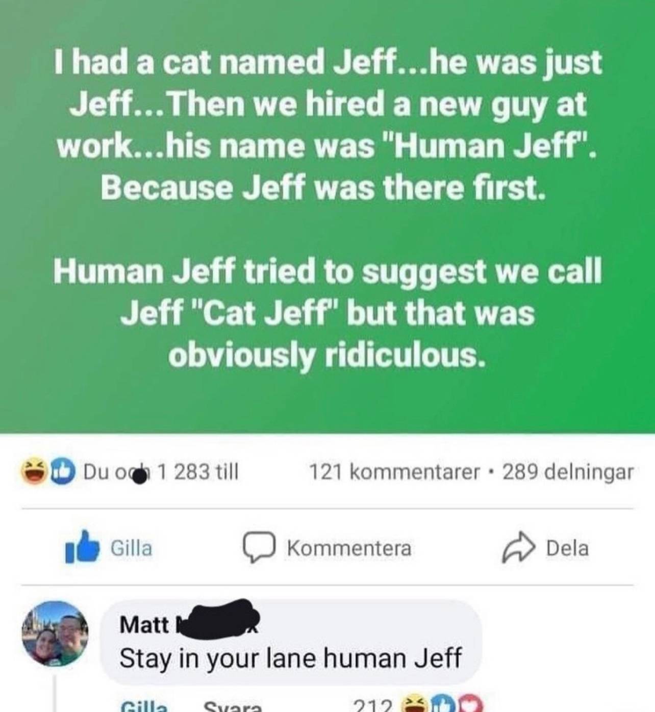 Meme of Cat Jeff vs Human Jeff