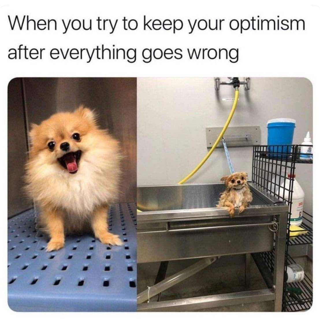 Optimism