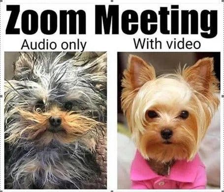 Zoom Meeting Audio only vs With Video