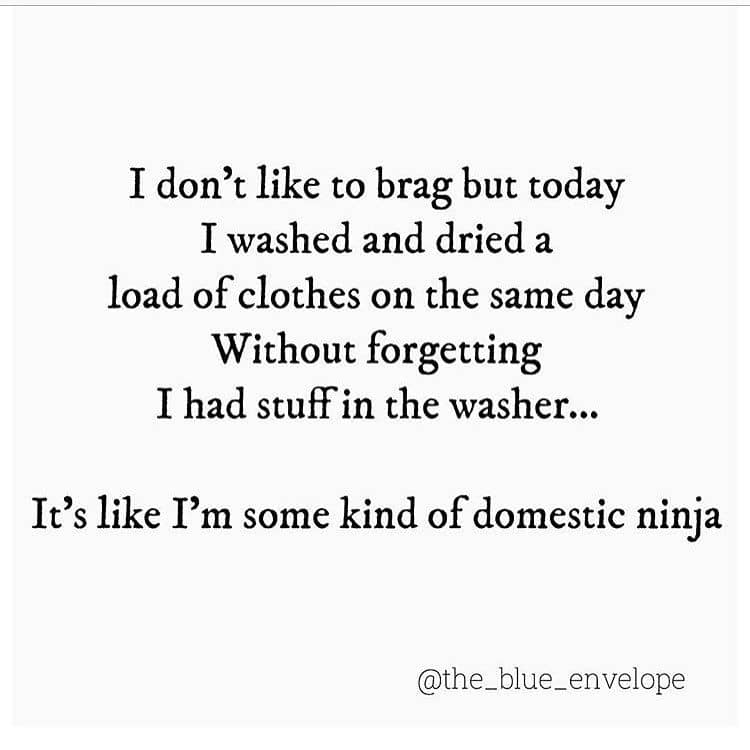 domestic ninja meme