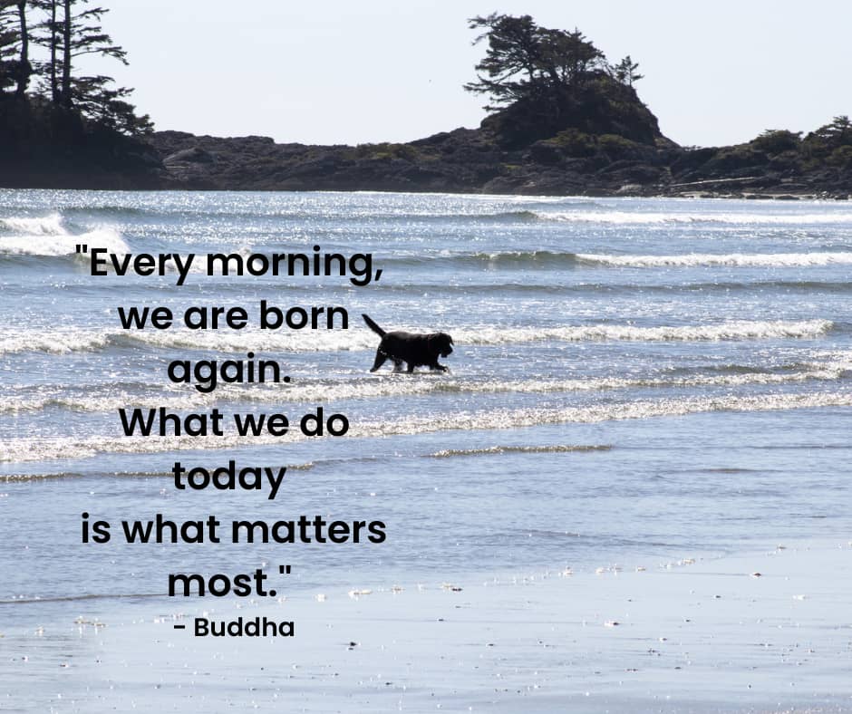A dog enjoying the rolling waves of the ocean on Long Beach in Tofino BC.