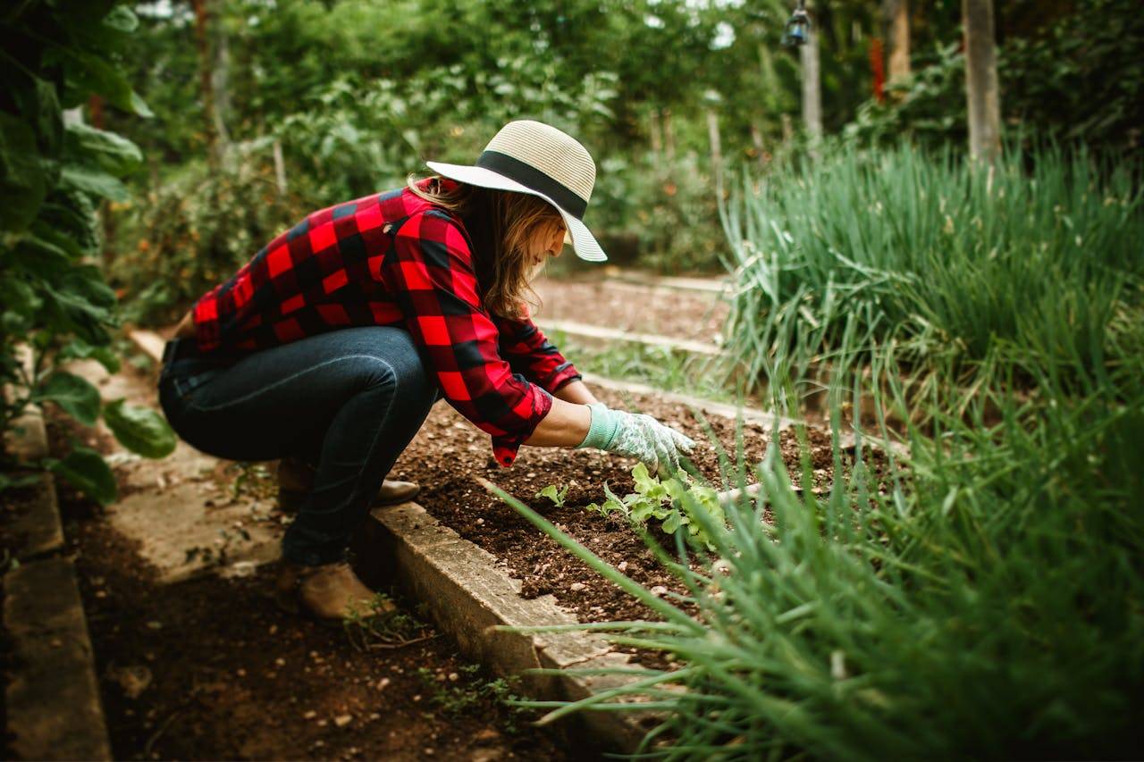 Consciously tending the garden with patience and care.