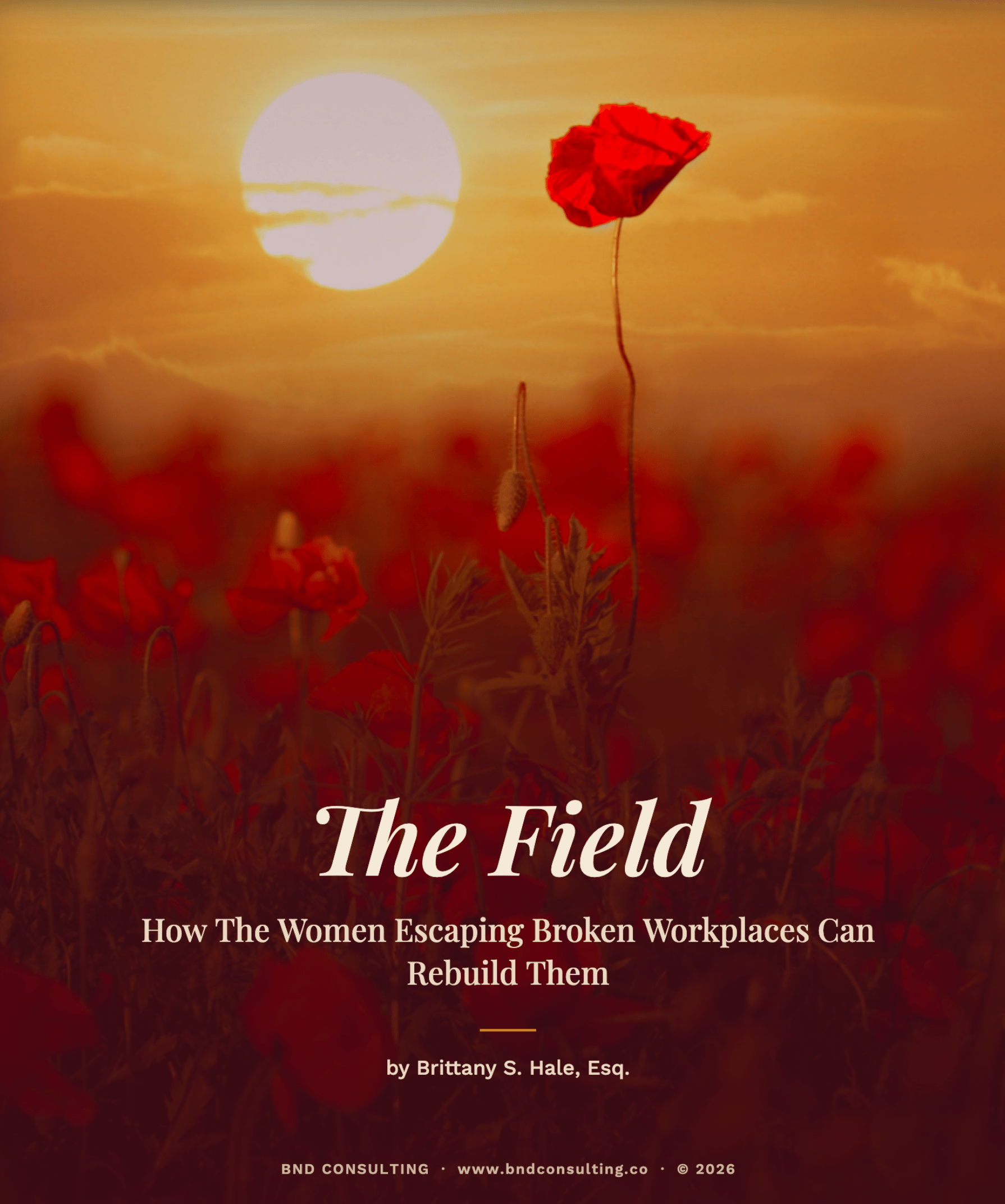The Field — white paper cover