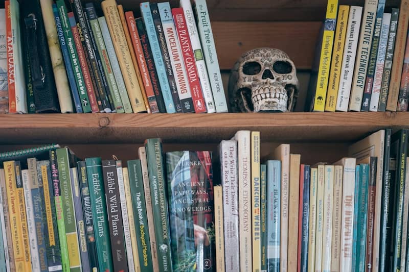 Shelf of books with a skull decoration