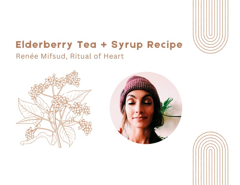 this is the recipe I make all winter season I’ve been a naturalist my entire life and often turn to elderberries when I want to boost my immune system—either as a preventative measure or when I’m feeling unwell. Later in my adult life, while studying herbal medicine, I looked forward to learning how to make elderberry syrup. Part of the excitement was that elderberry syrup is often quite pricey, and I wanted to source my honey myself (I don’t trust most honeys on the market)