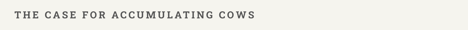 Cows