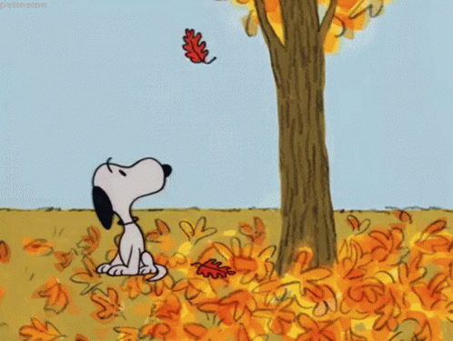gif of Snoopy blowing a fallen leaf up in the air. From Charlie Brown Halloween special