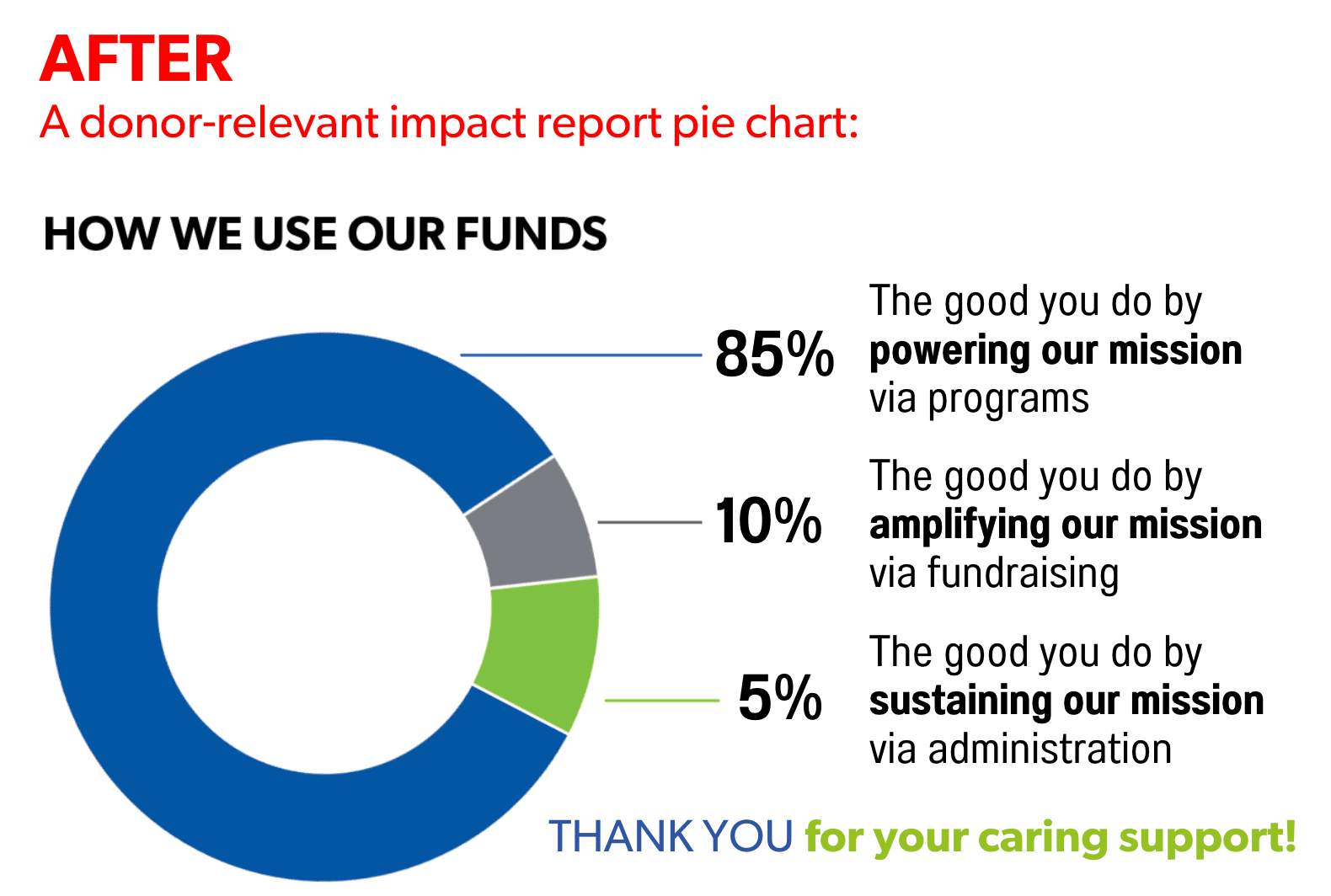 a screenshot showing financials with the language: "The good you do by powering our mission via programs" and "The good you do by amplifying our mission via fundraising" and "The good you do by sustaining our mission via administration"