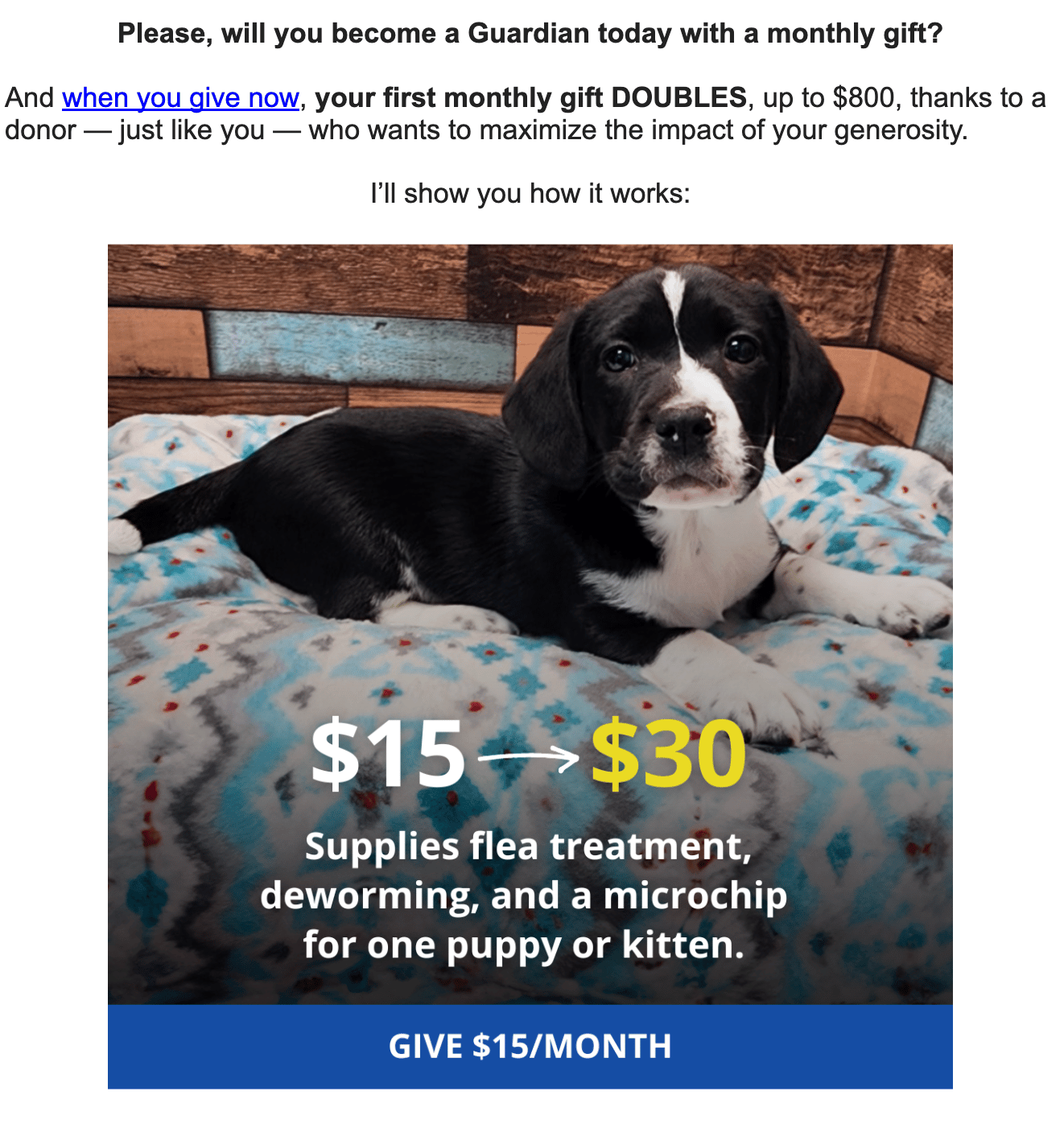 Please, will you become a Guardian today with a monthly gift? And when you give now, your first monthly gift DOUBLES, up to $800, thanks to a donor - just like you - who wants to maximize the impact of your generosity. $15 = $30 Supplies flea treatmentn, deworming and a microchip for one puppy or kitten.