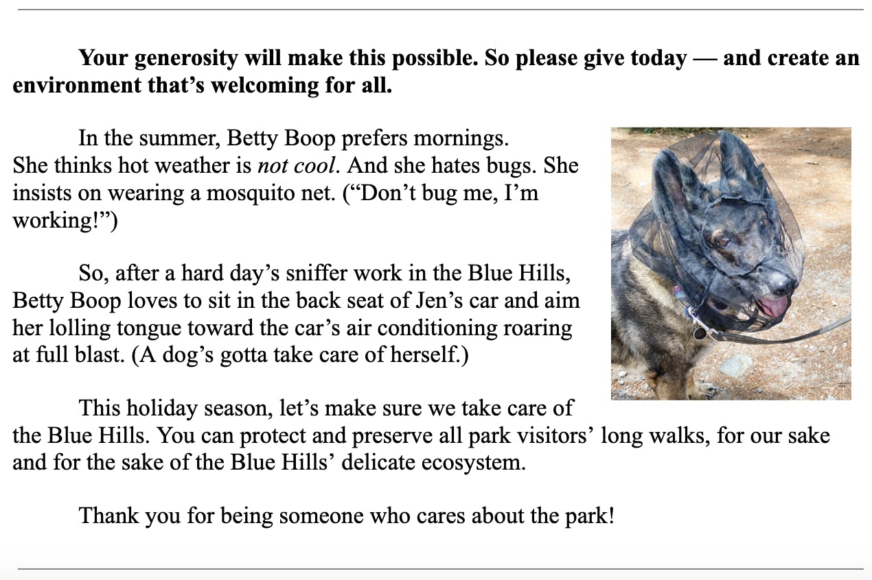 Your generosity will make this possible. So please give today — and create an environment that’s welcoming for all. In the summer, Betty Boop prefers mornings.  She thinks hot weather is not cool. And she hates bugs. She insists on wearing a mosquito net. (“Don’t bug me, I’m working!”) So, after a hard day’s sniffer work in the Blue Hills, Betty Boop loves to sit in the back seat of Jen’s car and aim her lolling tongue toward the car’s air conditioning roaring at full blast. (A dog’s gotta take care of herself.) This holiday season, let’s make sure we take care of the Blue Hills. You can protect and preserve all park visitors’ long walks, for our sake and for the sake of the Blue Hills’ delicate ecosystem.  Thank you for being someone who cares about the park!