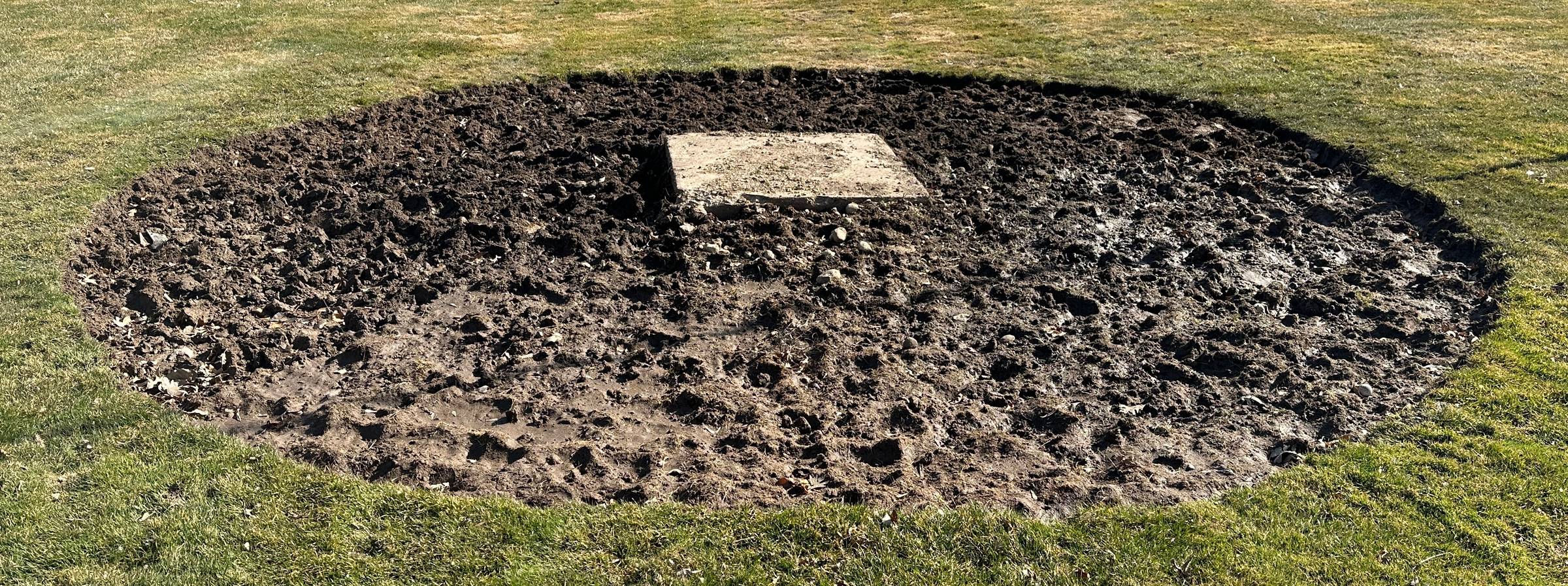 an image of the whole Brett dug in our yard