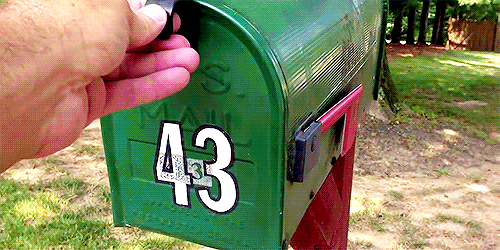 a gif of a green mailbox opening and revealing a golden retriever puppy!