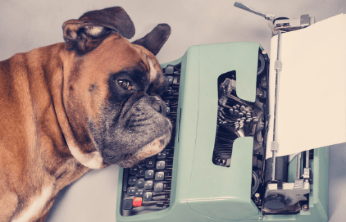 Sleeping dog on typewriter