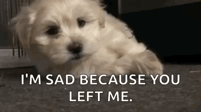 GIF of a sleepy dog and the caption "I'm sad because you left me."