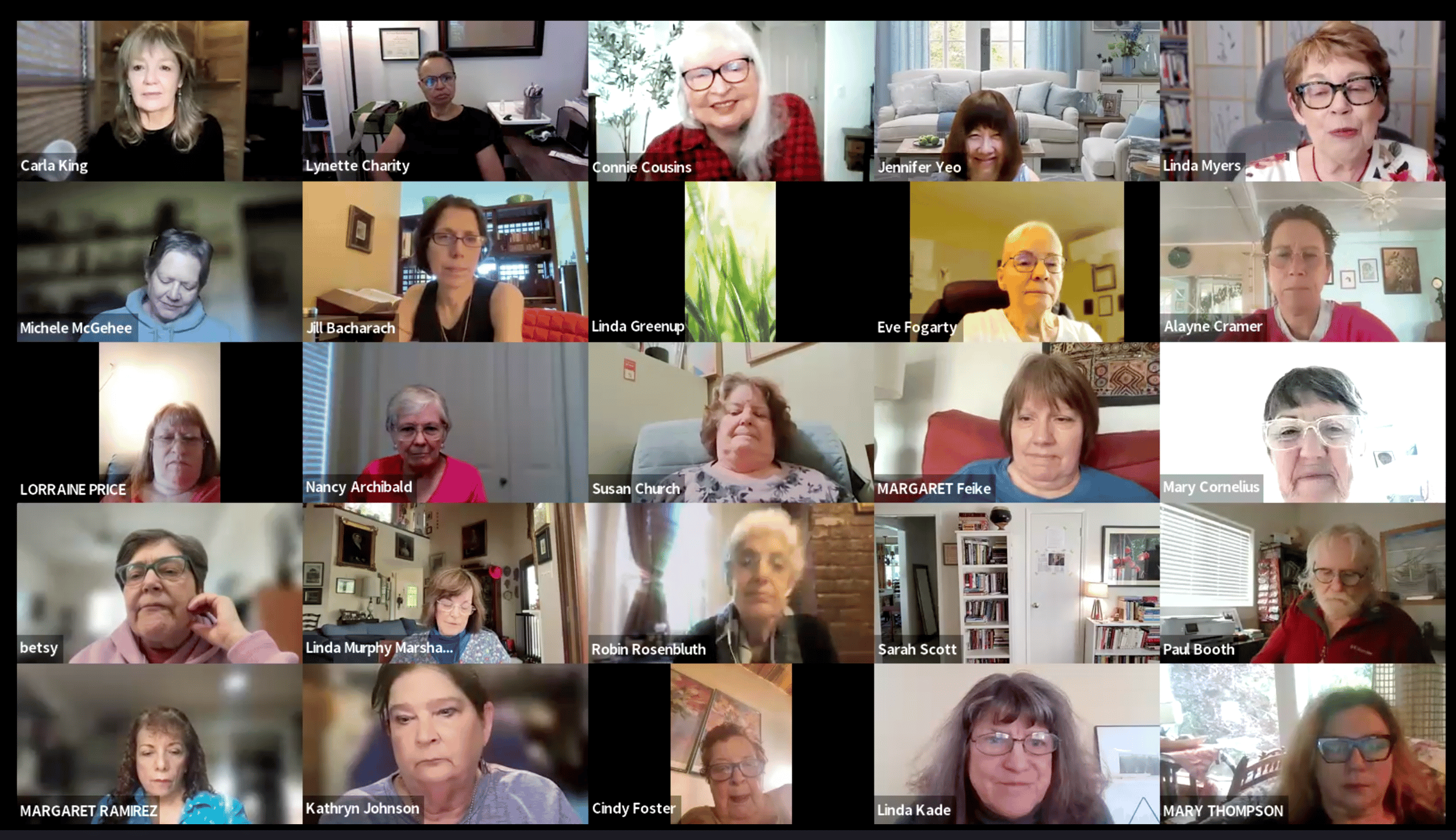 Screenshot of Zoom participants in the Intro to Mini-Memoir webinar