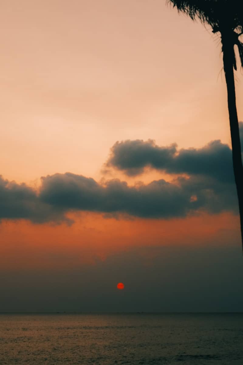 Sunset over the ocean with clouds and palm tree silhouette