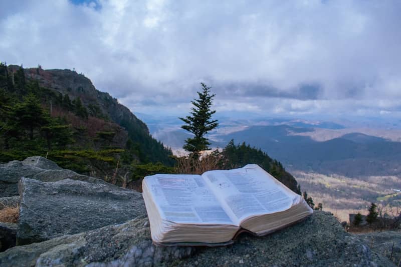Knowledge Management Survival Kit