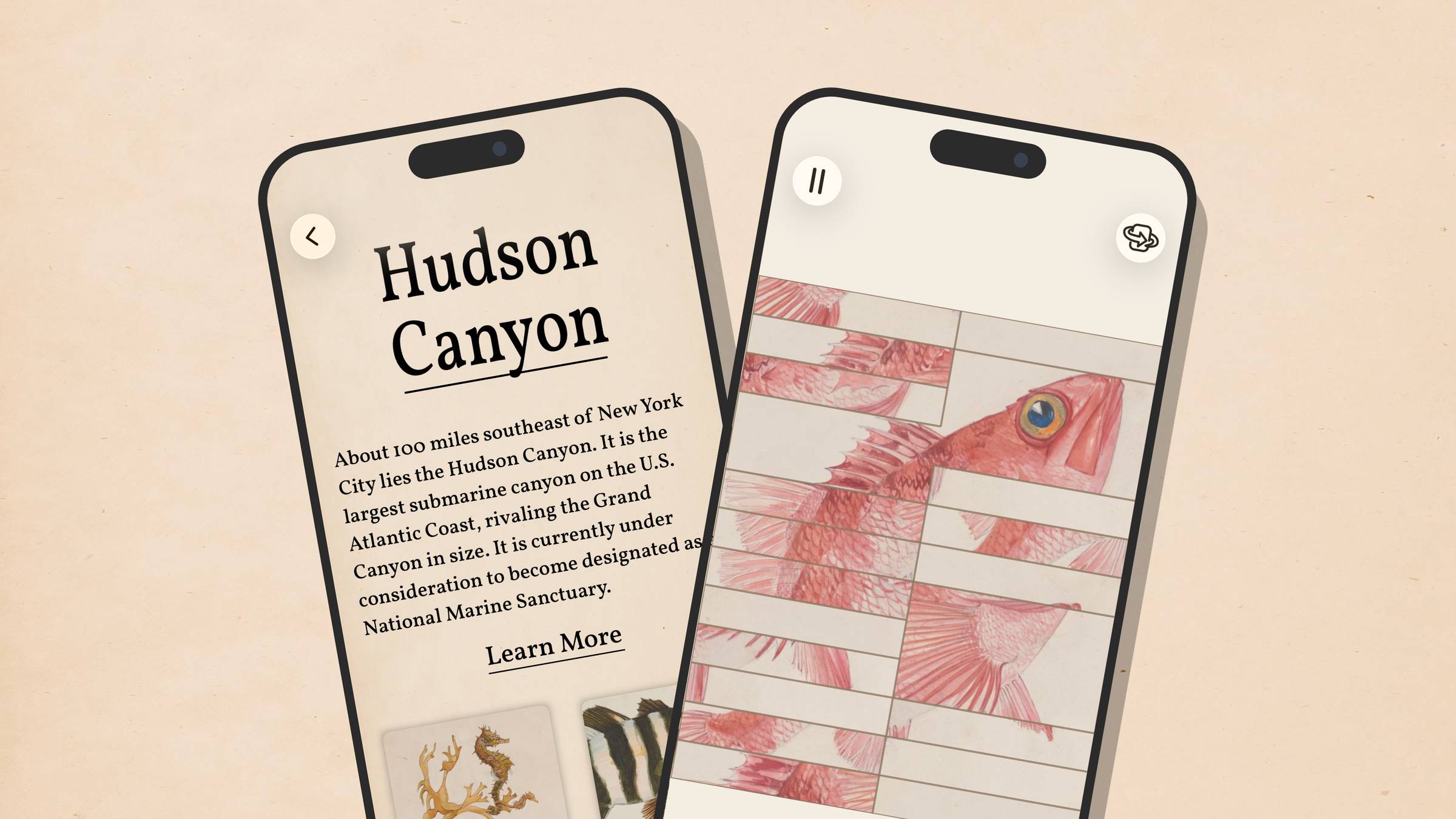Promo image showing two iPhones overlapping. The left one shows the overview page of the Hudson Canyon puzzle set. The right one a half solved puzzle of a red fish.