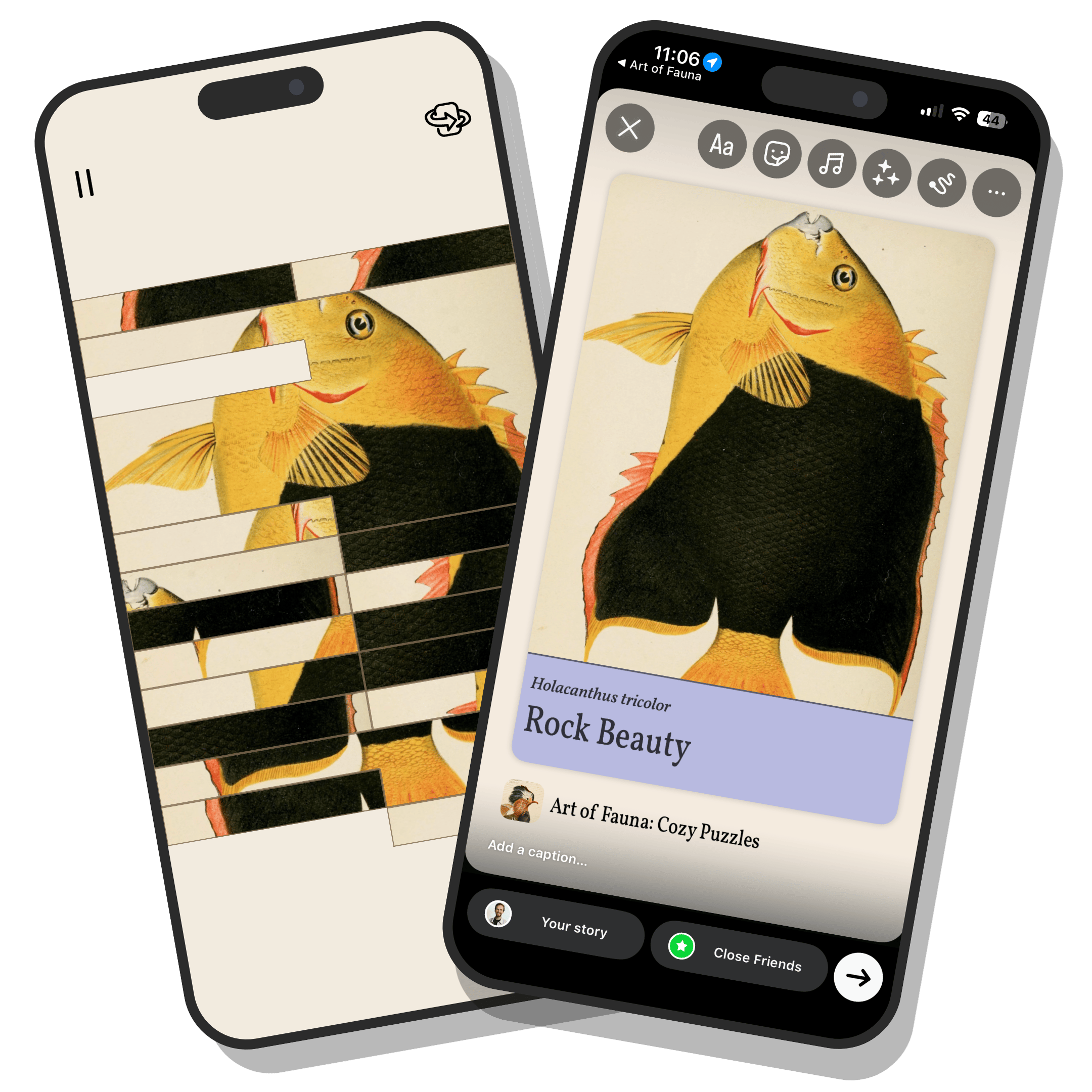 Promo graphic of two iPhones overlapping each other. The left one shows a partially solved puzzle of the Rock Beauty. The right one shows the finished Rock Beauty info card shared in an Instagram Story