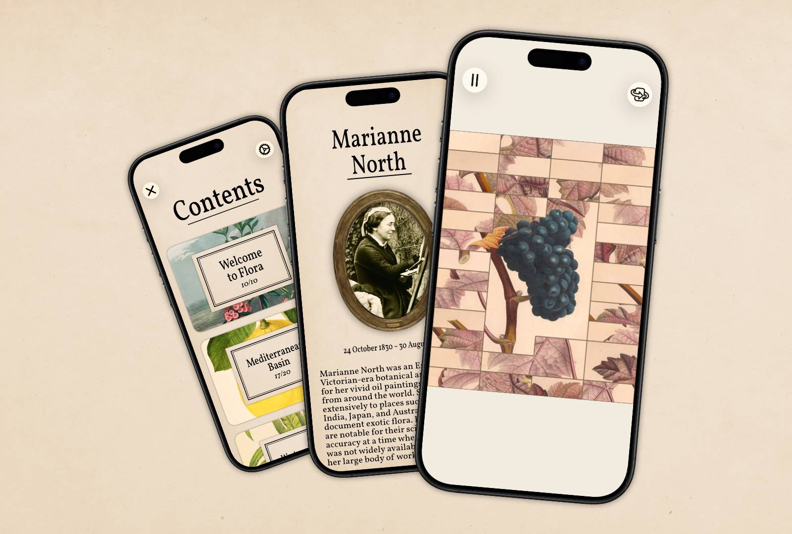 Mockup of three iPhones overlapping, all showing Art of Flora.  The left most shows the contents page, with a puzzle pack named "Welcome to Flora" and "Mediterranean basin" The center one shows a description of the artist called "Marianne North", with a picture of her The right most shows a half solved puzzle of a grape vine