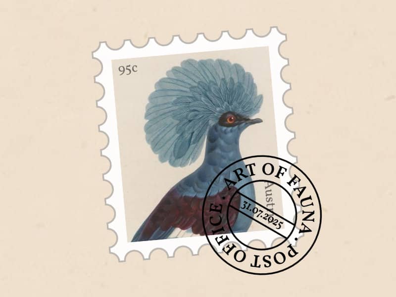 Postmark of a pigeon with a stamp on it, showing the 31st of July 2025