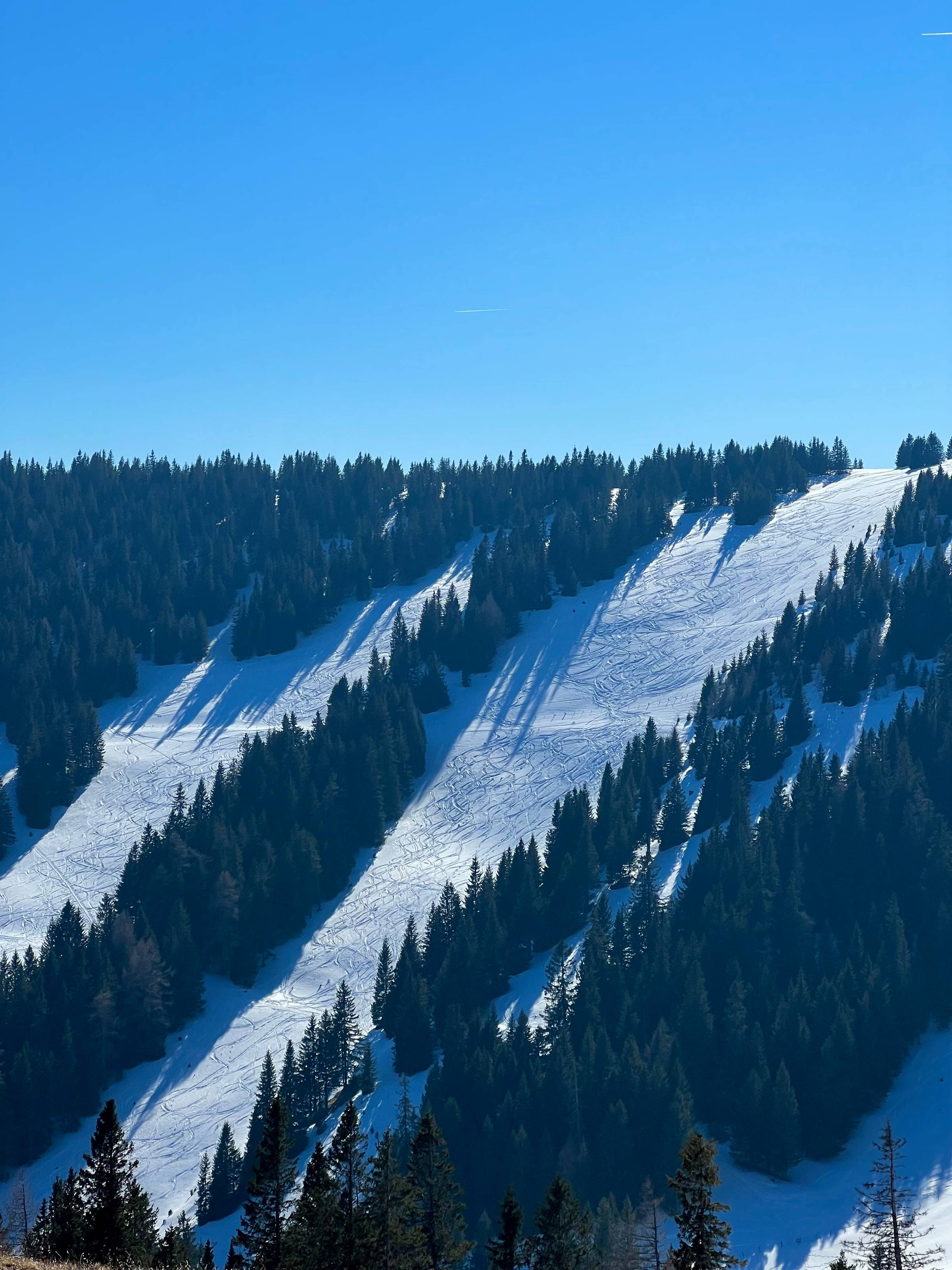 A photo of a slope covered in loads of snow. Trees can be seen left and right. The sky overhead is blue and cloudless.