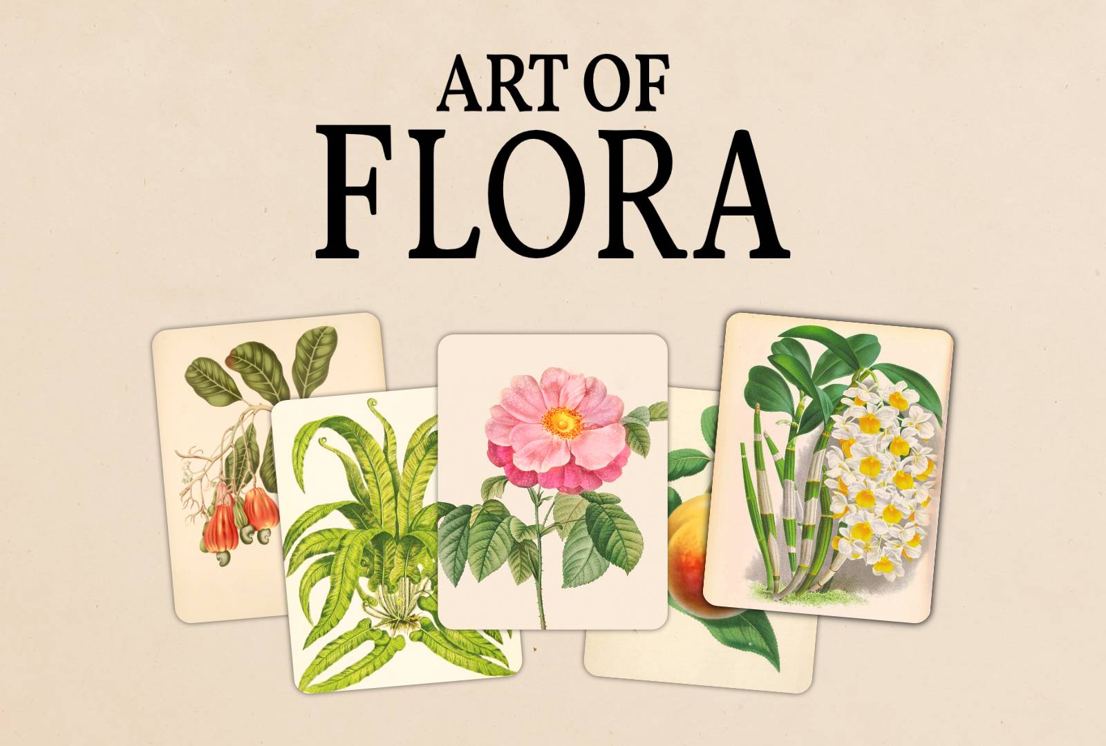 Promo Image of Art of Flora. It shows the logo above five cards of beautiful historical plant pictures. They show a Cashew, a Fern, a Rose, a peach and and Orchid.