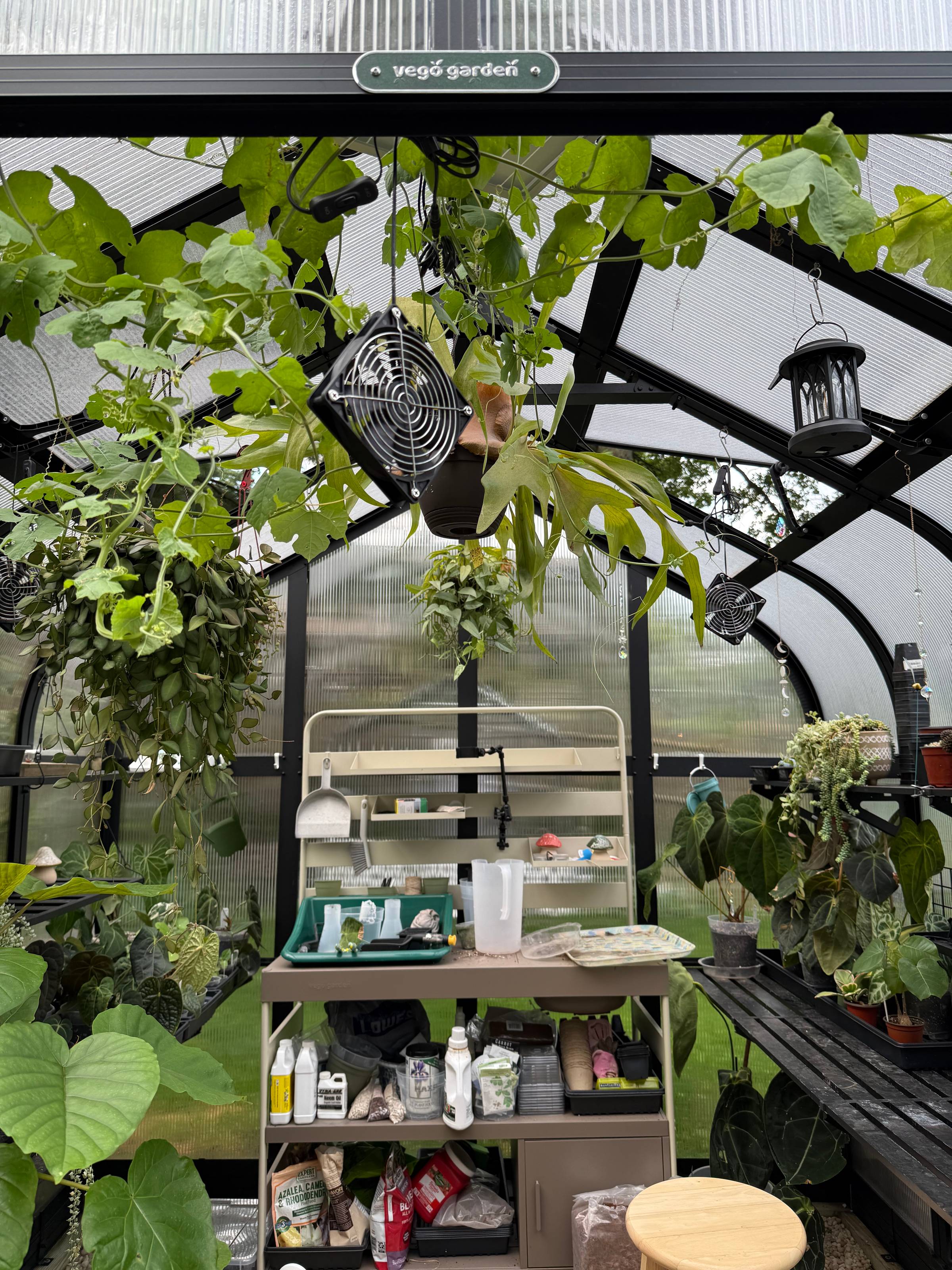 Greenhouse with plants all over and a potting bench
