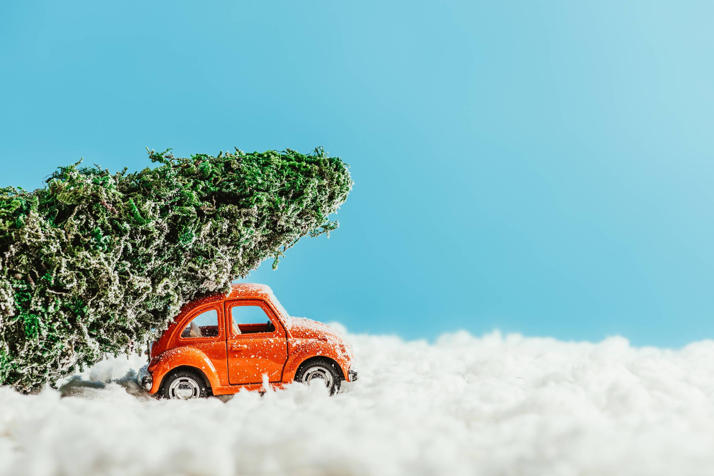 Holiday scene of a small car with a big tree on top of it