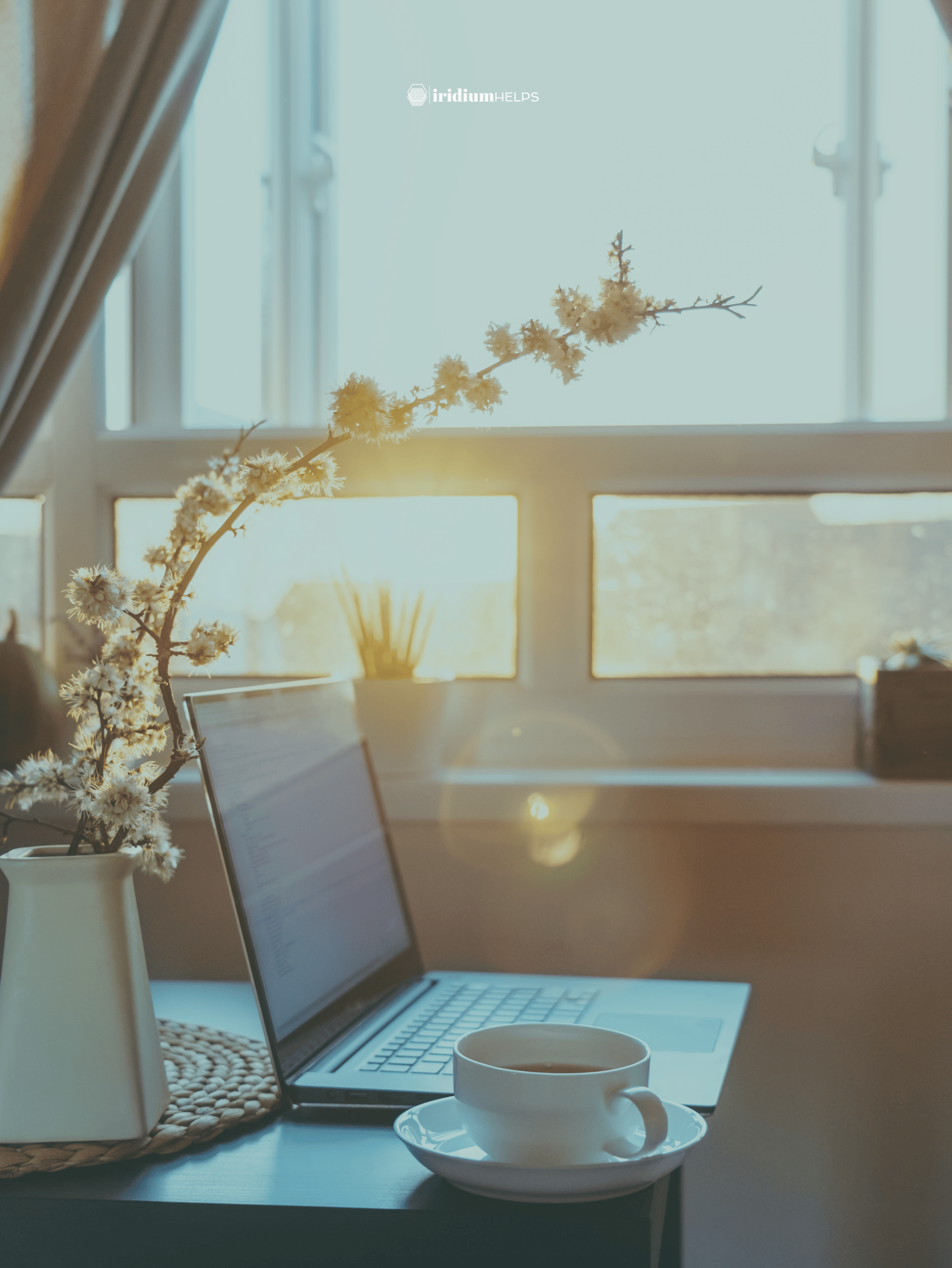 Workshop: 9 Key Decisions for Starting a Successful Job Hunt 