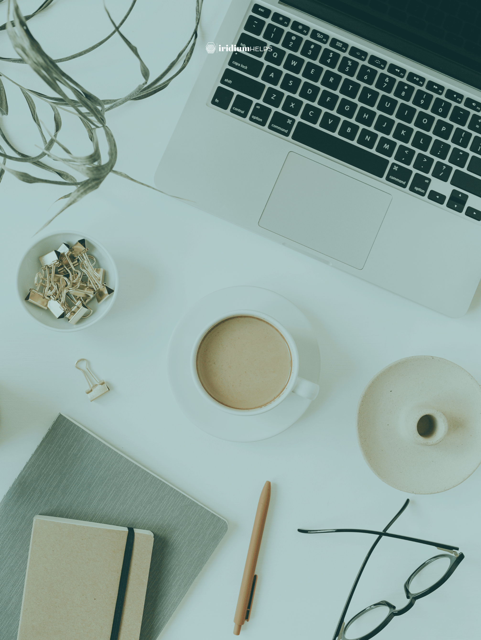 Job Transition Templates