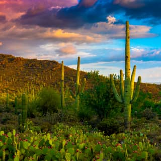 desert sky 