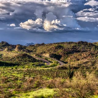 sonoran desert monsoon