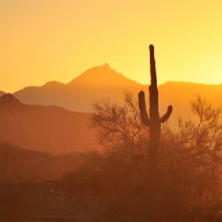 heat wave in the desert